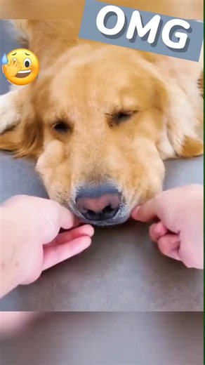 brg (@brg7460)’s videos with original sound - brg