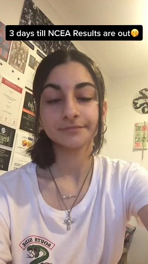 NCEA Exam Results: Merit Endorsement Level 2 Achieved