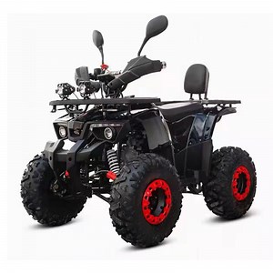 [Hot Item] 125cc Racing ATV Quad Bike with CE Atvs for Kids