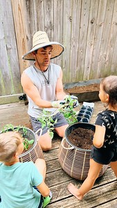 28K views · 228 reactions | Planting the kids’ first tomato plants on the back porch! This took maybe 30 minutes and was so much fun for everyone. The kind of tomatoes we planted were Big Boy, Early Girl, and Red Beefsteak! #husbands | The Property Lovers | Facebook