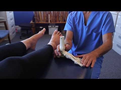 Spread Your Toes™ Series: Capsulitis- Ball of Foot Pain Conservative Care vs. Conventional Care