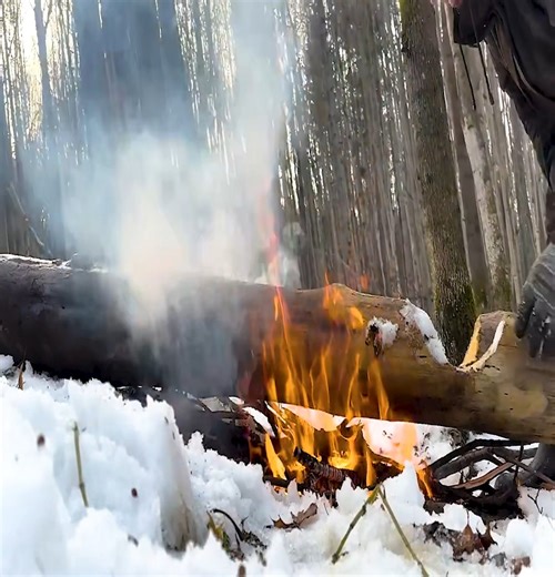 Constructing a small shelter in a snowy forest by putting down and insuring log walls. | Thomas Wilderness