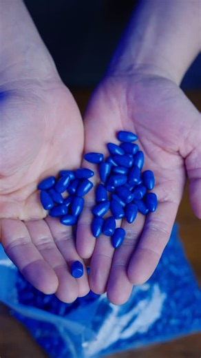 Dillon Precision on Instagram: "More blue! We have wide variety of Blue Bullets in stock! Be sure to check them out! Have you ever used polymer coated bullets? Let us know what the results were in the comments!"