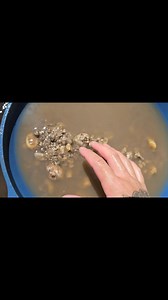 89K views · 1.2K reactions | A striking Tourmaline crystal was accidentally included in the formation of this Quartz crystal, creating an extraordinary geological piece | Vo-Gus Prospecting | Facebook