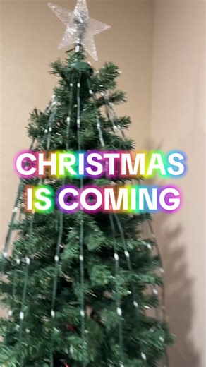 Light up your holidays with these smart waterproof Christmas lights 🎄✨ Control them with the app or remote, sync to your favorite music, and set one of 11 timer modes for the perfect glow! Available in 6ft or 7ft — perfect for your Christmas tree or outdoor decor. Free shipping included 🎁 #ChristmasLights #SmartHomeDecor #HolidayVibes #RGBLights #ChristmasGiftIdea