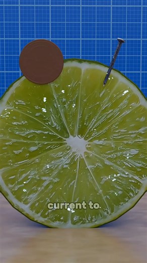 Voxel penguin on Instagram: "Lemon Power Trick You Must Try! . . . Watch how a simple lemon can power a tiny LED! 🍋⚡ Just add a copper coin, a zinc nail, and some wires—boom, instant lemon battery. Fun, easy, and perfect for quick science tricks! #lemon #electricty #diy #animation"