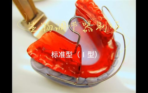 生物调节器Ⅰ型制作方法
