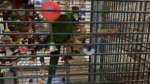 4.5K views · 407 reactions | This is Mollie, a 27 year old Severe...