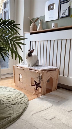 Bunny Bedding Haul 🐰 | Rabbit Setup | Indoor Rabbits