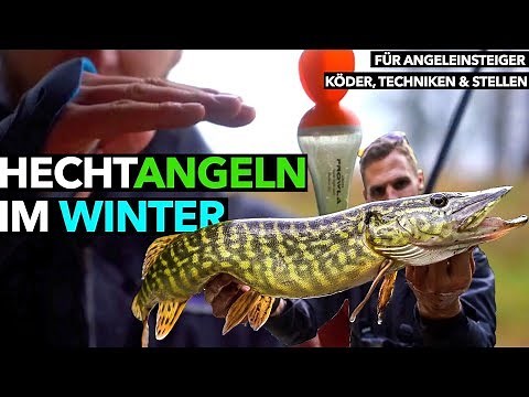 HECHTANGELN im WINTER mit Köderfisch! Tutorial für Einsteiger