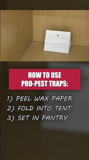 Use Pro-Pest Traps to Control Pantry Infestations!