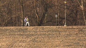 Searching For Signs of Spring