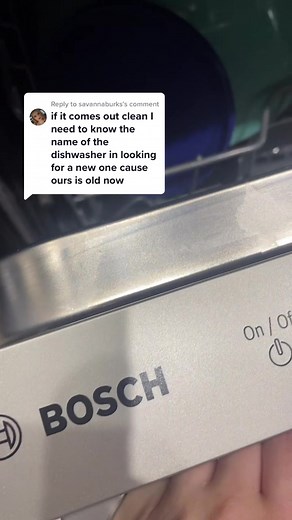 How to Use the Sanitize Setting on a Bosch SilencePlus 50-dBA Dishwasher
