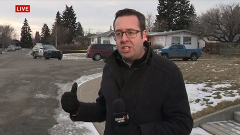 Calgary police investigate shooting in northeast