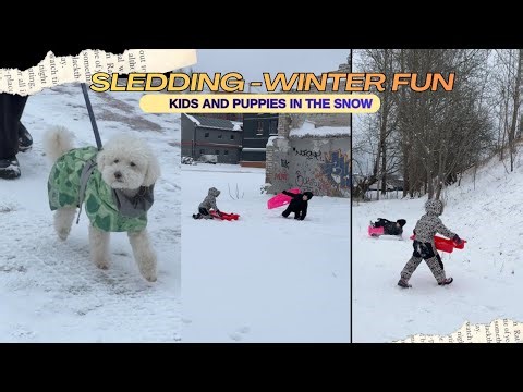 Winter Fun in the Snow- Sledding