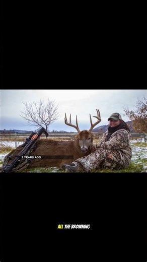 These Trail Cameras Don’t Miss… 🦌🔥
