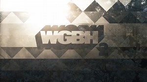 WGBH ID flower 2