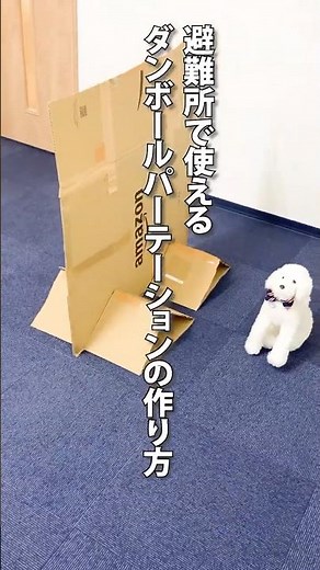 避難所で大活躍!ダンボールパーテーションの作り方 #防災 #防災グッズ #地震 #避難所 #diy