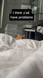 229K views · 66 reactions | On Monday evervone is so annoying and that makes me sometimes angry 藍 #cat | Mitay Cat | Facebook