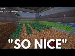 Fundy plants Berries on Everyone's House - Origins SMP