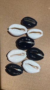 Cowrie Shells for Jewelry Making - Etsy