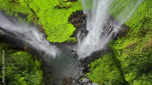 Jungle rainforest at the Argentina side of Iguazu waterfall. Aerial view 4K