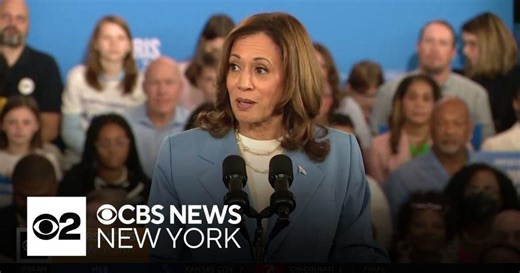 VP Kamala Harris outlines economic plan in campaign speech