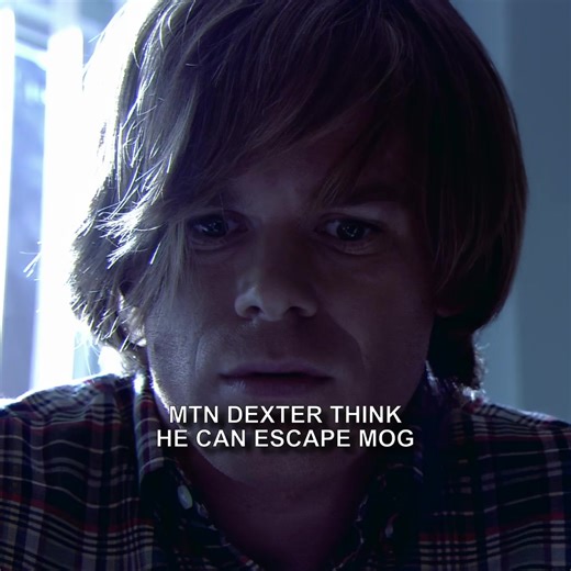 Ultimate Ascension Guide & Facial Metrics Explained