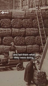 15 reactions | Kirkcaldy's rich history with linoleum explored in new gallery exhibition. https://i.stv.tv/3RwMgxR | STV News | Facebook