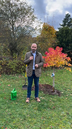 8K views · 181 reactions |  Baumpflanzchallenge  Vielen Dank an...