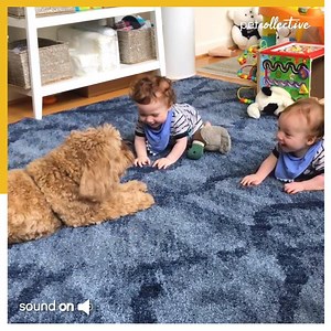 34M views · 27K reactions | Is This The Cutest Thing Ever? | Try Not to Laugh | Facebook