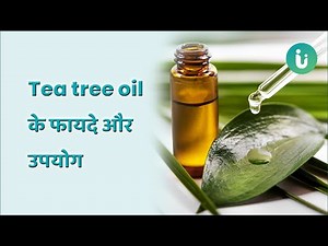Tea tree oil के इन फायदों के जान लेंगे तो इसे आजमाए बिना नहीं रह पाएंगे - Tea Tree Oil Benefits