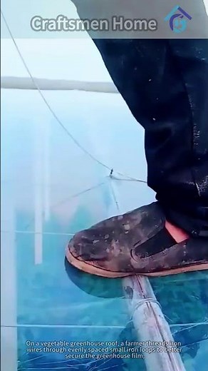 Securing Greenhouse Films by Threading Wires on the Roof