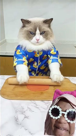 CAT MAKES CHEWING GUM⁉️😯 ThatLittlePuffThatLittlePuff #shorts