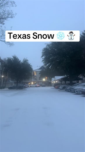 Texas Snowfall in January 2026: A Winter Wonderland