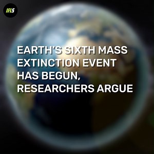 103K views · 719 reactions | "We have a moral obligation to acknowledge our role in this crisis" | IFLScience | Facebook