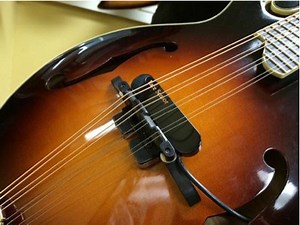 Lace Music Announces Mando-Lace Mandolin Pickup — Demo Video