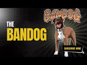 What Is The Bandog?