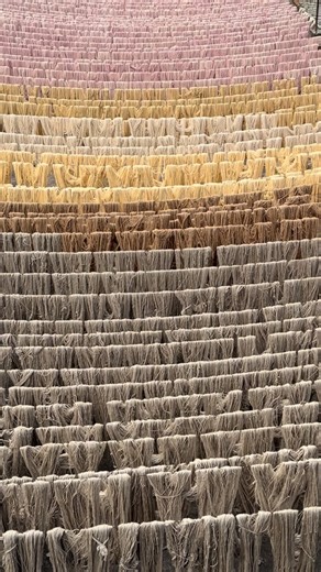 Maaria Rugs on Instagram: "After dyeing, the yarn is carefully spread under the open sun to dry naturally. This sun-drying process helps set the color evenly, enhances shade clarity, and brings out the true depth of each tone. At Maaria Rugs, we use this traditional method to ensure rich, consistent shades and long-lasting color before the yarn moves into weaving. It’s a slow, honest process that reflects our commitment to quality and craftsmanship. #MaariaRugs #HandDyedYarn #SunDriedNaturally #