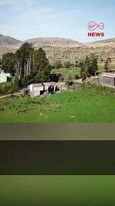 165K views · 1K reactions | The Search For Michael Gaine | 8:30pm on Virgin Media One Today marks 4 weeks since Kerry farmer Michael Gaine was last seen in Kenmare. A new #VMNews documentary pieces together Michael's disappearance through interviews with those closest to him and the locals who joined the search. #VMTV | Virgin Media News | Facebook