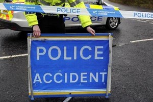 Comedy Wildlife Photography Awards