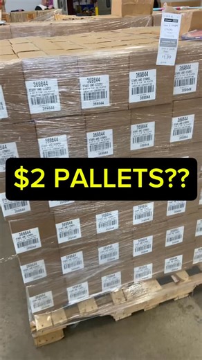 Resellers Aren’t the Problem—$2 Goodwill Pallets Prove It A lot of people claim that resellers “ruin thrifting,” but the real problem is overproduction, not people trying to save items. I’m at the Goodwill Outlet—the last stop before the landfill—and Goodwill is literally selling entire pallets of stuff for $2 each just to move it out. There’s an insane overabundance of items in this country, and most of it gets tossed if resellers don’t grab it. Resellers aren’t the villains… we’re actually the