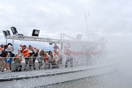 The Swarm: Season Two -- Has the Sci-Fi CW Series Been Cancelled or Renewed?