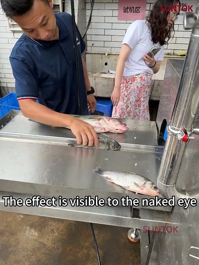 Fish gutting machine for tilapia and sea bass