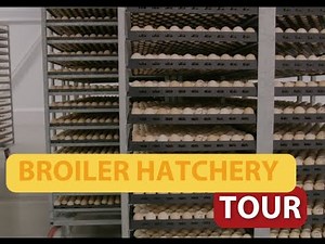 Hatchery Tour
