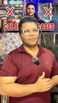 Perfect Bird Breeding Setup 🪺 | How I Prepared My Birds for Breeding | Refreshing setup