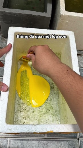 Sơn chống thấm thùng xốp cũ, tận dụng để nuôi cá tuỳ thích #guppy #sonchongtham #cacanh #cabaymau