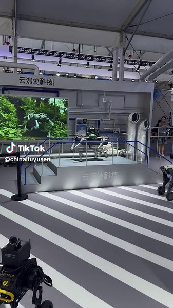 @Booster Robotics #china🇨🇳🇨🇳🇨🇳 #MadeinChina #austinrobot #Robot #boxfighting The robotic dog that even Musk is paying attention to is here! It can do 360-degree spins, climb slopes, and wade through water—there's nothing it can't handle. Chinese tech is absolutely killing it this time! Dare to tag your friend and let the robotic dog show them a