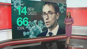 The number of new cases of coronavirus in New Zealand has climbed again to 66.