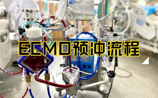 ECMO预充教程（江苏省人民EICU）